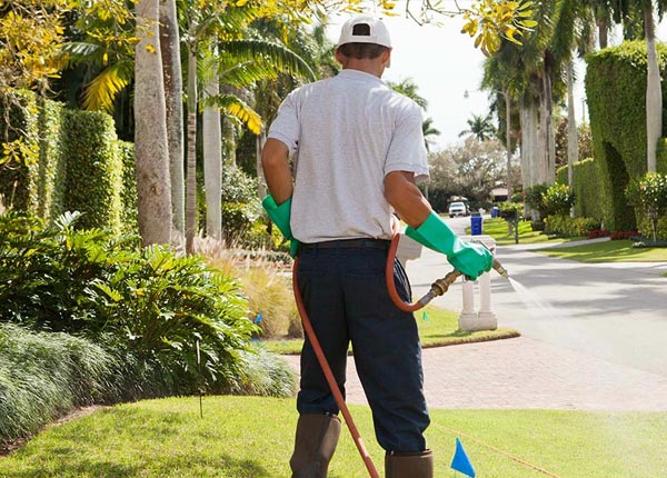 About Hallsville TX Pest Control